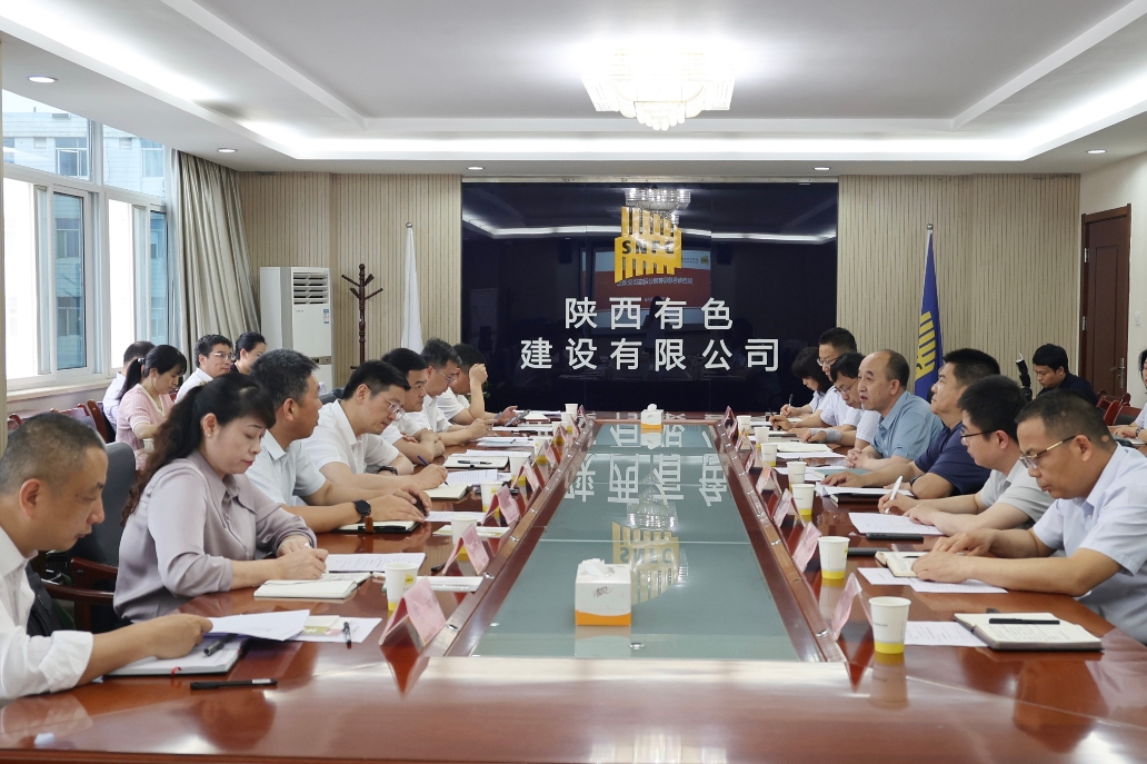 雁塔區(qū)委書記王征一行走訪調研公司