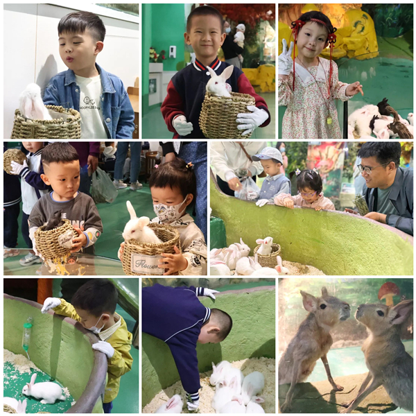 1685408745274783.jpg 微信圖片_20230530090248_副本.jpg